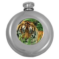 Tiger Hip Flask (5 Oz)