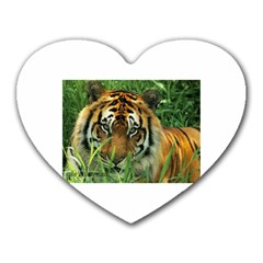 Tiger Mousepad (heart)