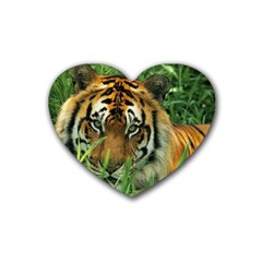 Tiger Rubber Coaster (heart)