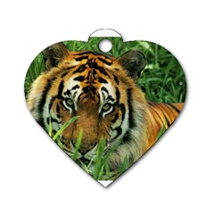 Tiger Dog Tag Heart (one Side) by ironman2222