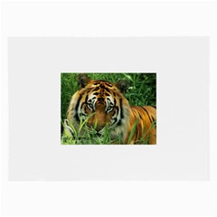 Tiger Glasses Cloth (large)