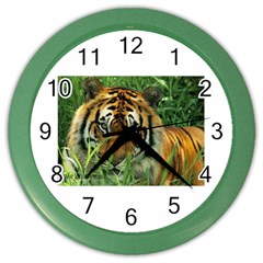 Tiger Color Wall Clock