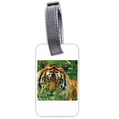 Tiger Luggage Tag (one Side)