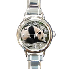 Giant Panda Round Italian Charm Watch by ironman2222