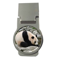 Giant Panda Money Clip (round)