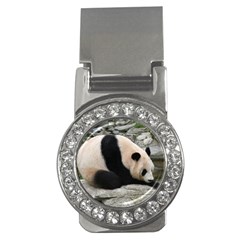 Giant Panda Money Clip (cz)