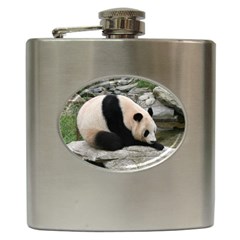 Giant Panda Hip Flask (6 Oz)