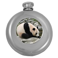 Giant Panda Hip Flask (5 Oz)