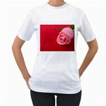 Pink rose  Women s T-Shirt
