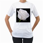 White rose Women s T-Shirt