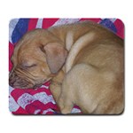 Sleeping puppy Large Mousepad
