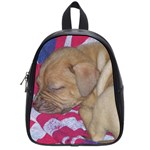 Sleeping puppy School Bag (Small)