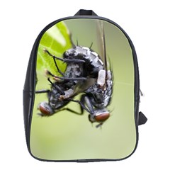 Fly School Bag (large) by ironman2222