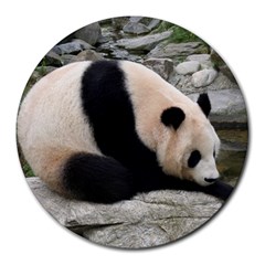 Giant Panda Round Mousepad by ironman2222