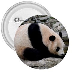 Giant Panda 3  Button