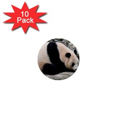 Giant Panda 1  Mini Button (10 Pack) 