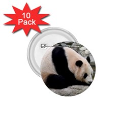 Giant Panda 1 75  Button (10 Pack) 