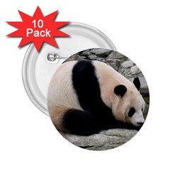 Giant Panda 2 25  Button (10 Pack)