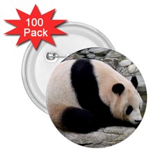 Giant Panda 2 25  Button (100 Pack) by ironman2222