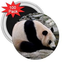 Giant Panda 3  Magnet (100 Pack)