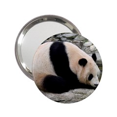 Giant Panda 2 25  Handbag Mirror