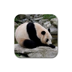 Giant Panda Rubber Square Coaster (4 Pack) by ironman2222