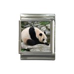 Giant Panda Italian Charm (13mm) Front