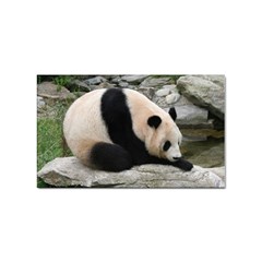 Giant Panda Sticker (rectangular) by ironman2222