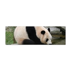 Giant Panda Sticker (bumper) by ironman2222