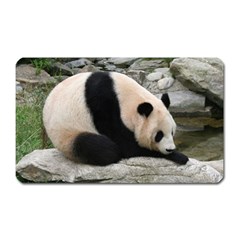 Giant Panda Magnet (rectangular)