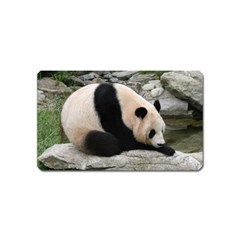 Giant Panda Magnet (name Card)