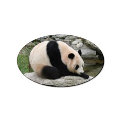 Giant Panda Sticker Oval (10 Pack)