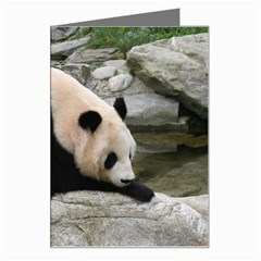 Giant Panda Greeting Card