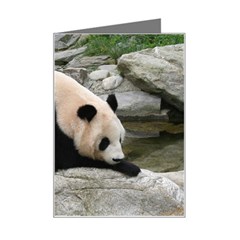 Giant Panda Mini Greeting Card