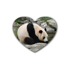 Giant Panda Rubber Coaster (heart)