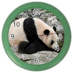 Giant Panda Color Wall Clock Front