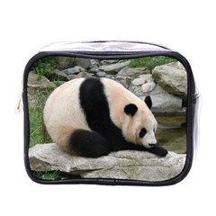 Giant Panda Mini Toiletries Bag (one Side)