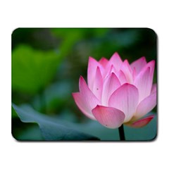 Red Pink Flower Small Mousepad by ironman2222