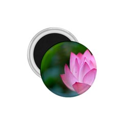 Red Pink Flower 1 75  Magnet