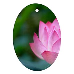 Red Pink Flower Ornament (oval)