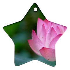 Red Pink Flower Ornament (star)