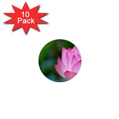 Red Pink Flower 1  Mini Button (10 Pack)  by ironman2222