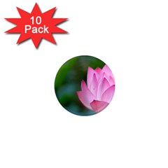 Red Pink Flower 1  Mini Magnet (10 Pack)  by ironman2222