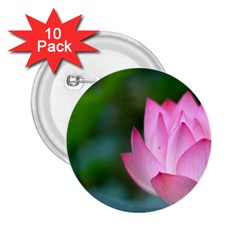 Red Pink Flower 2 25  Button (10 Pack) by ironman2222