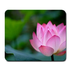 Red Pink Flower Large Mousepad