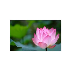 Red Pink Flower Sticker (rectangular)