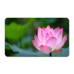 Red Pink Flower Magnet (rectangular) by ironman2222