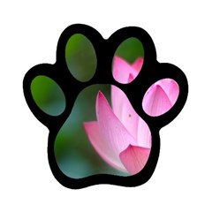 Red Pink Flower Magnet (paw Print) by ironman2222