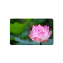 Red Pink Flower Magnet (name Card)