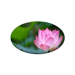 Red Pink Flower Sticker Oval (10 Pack)